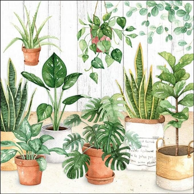 Lunch Servetten Urban Jungle - Ambiente - 33x33 cm