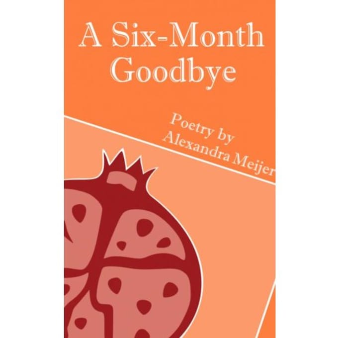 A Six-Month Goodbye - Alexandra Meijer