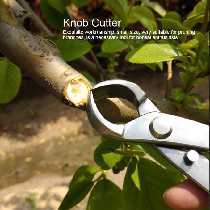 180mm Roestvrijstalen Knopknipper Bolle Schaar Landschapsmodellering Tuin Bonsai Gereedschap gray