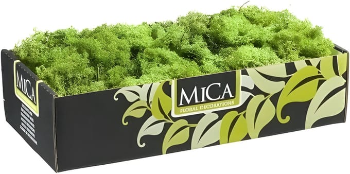 Mica Decorations Rendiermos - 500 gram - groen - hobby mos - decoratie materialen