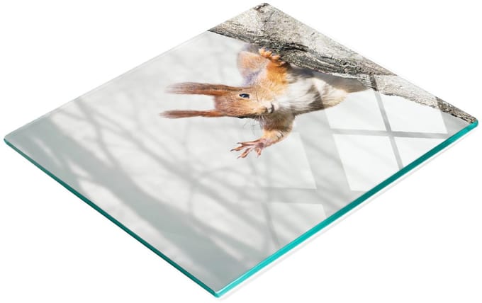 Decoratieve glazen snijplank met eekhoornafbeelding, 60x52 cm