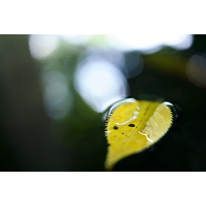 Tamron 35mm f/2.8 Di III OSD M1:2  Sony FE-vatting