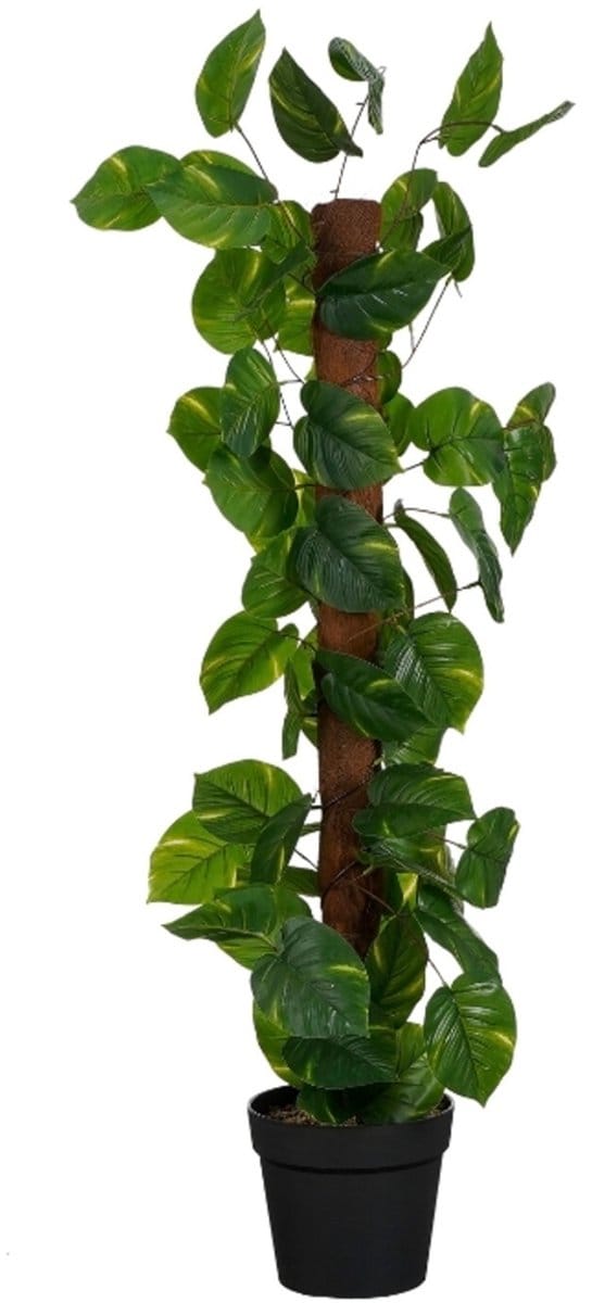 Mica Decorations kunstplant Pothos in pot groen , H120xD40cm