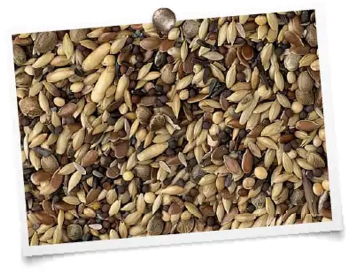 Hobbyfirst King Inlandse vogels 20 kg vogelvoer