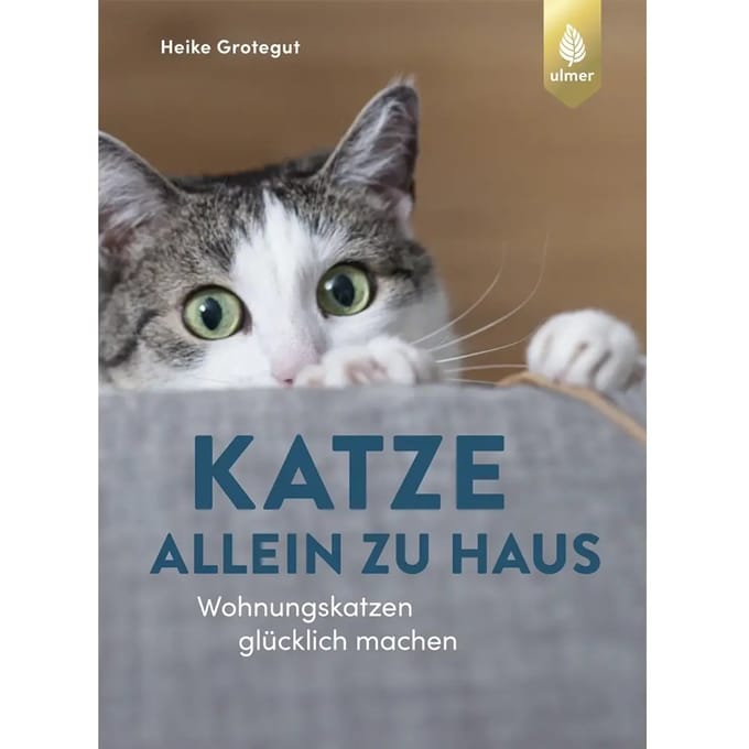 Boek Nobby Pet Katze Allein Zu Haus
