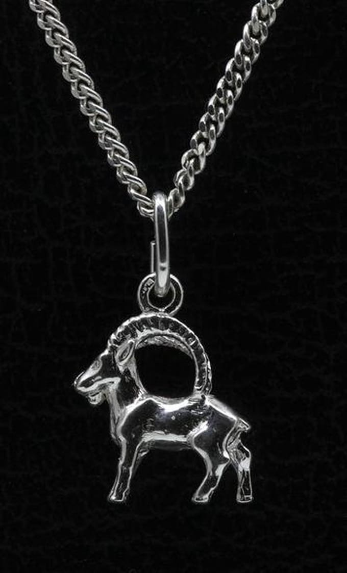 Zilveren Sterrenbeeld Steenbok ketting hanger - klein