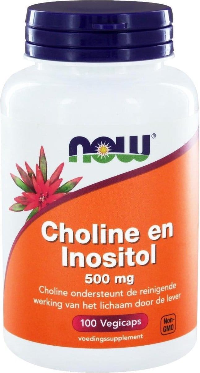 Choline en Inositol 500 mg - NOW Foods