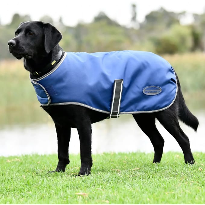Hondenjas Weatherbeeta ComFiTec Windbreaker Free