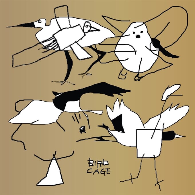 Bird Cage: Birdfriend Archives (2lp)