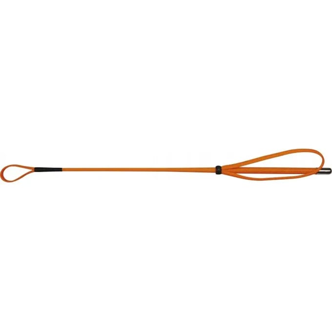 Paardrij zweep Whip & Go