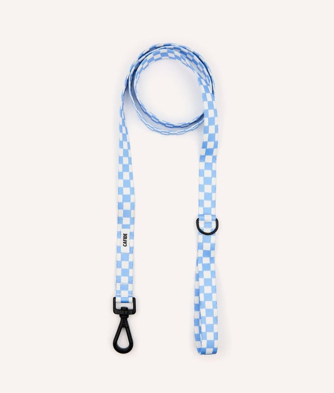 Sterke hondenriem 1,2m – Vichy ontwerp – Blauw – Antitrek & comfortabel – Juno