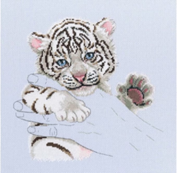 Little tiger warmth in palms | RTO