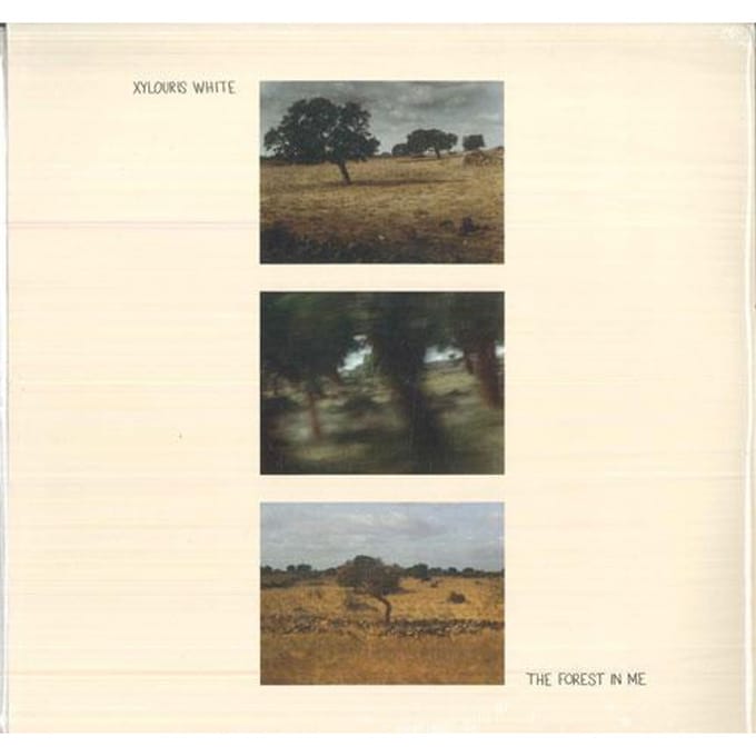 Forest In Me - Xylouris White