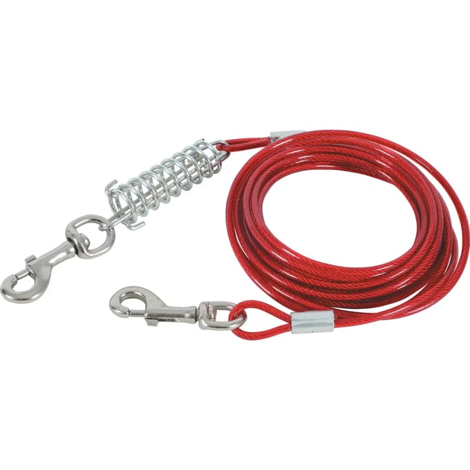 Bindkabel en veer voor honden Zolux
