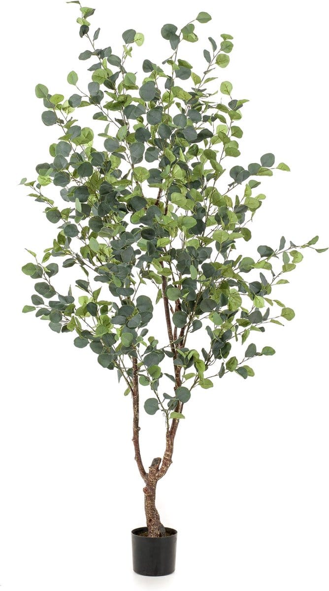 Kunstplant - Eucalyptus - Blauwe Gomboom - 180 cm