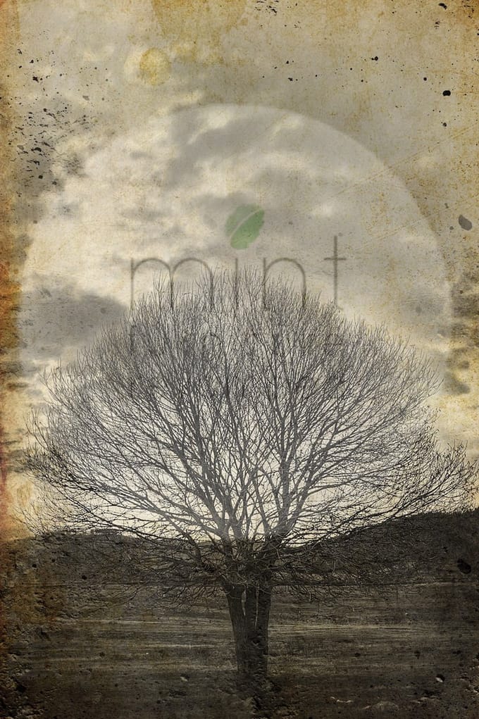 Sepia Tree- Mint by Michelle decoupage papier A1