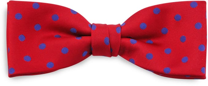 We Love Ties - Strikken - Strik Satin Dot - rood / paars