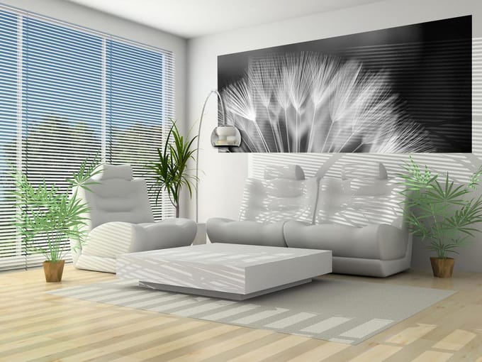 Flowers Dandelion Nature Photo Wallcovering