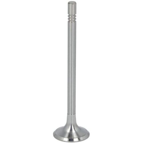 Inlaatklep NE 5650080000