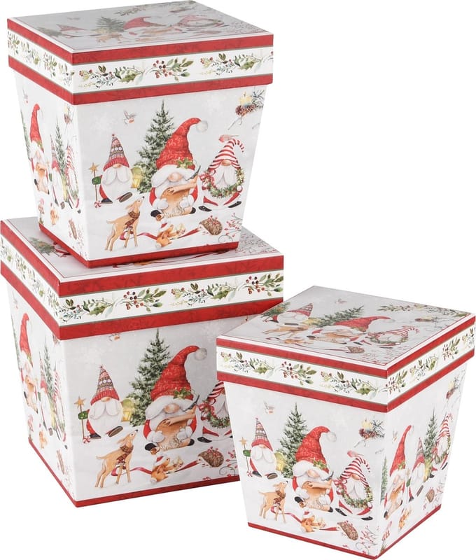 Dekoratief | Set 3 dozen vierkant 'Friendly Gnomes', karton, 14x14x15cm | A245047
