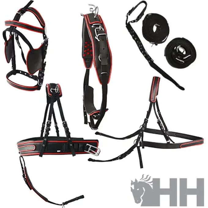 Paardentuig Hispano Hipica