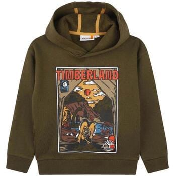 Capuchon sweaters Timberland T60314/64J