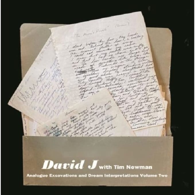 Analogue Excavations & Dream Interpretations Vol.2 - David J With Tim Newman