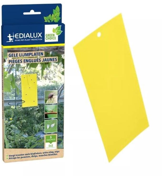 Edialux GreenChoice Gele Lijmplaten - Effectieve Insectenval