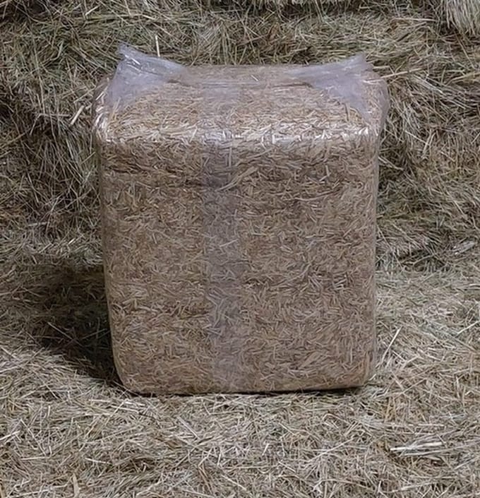 Stro 8 kg voor cavia en konijn (fijn & kort stro)
