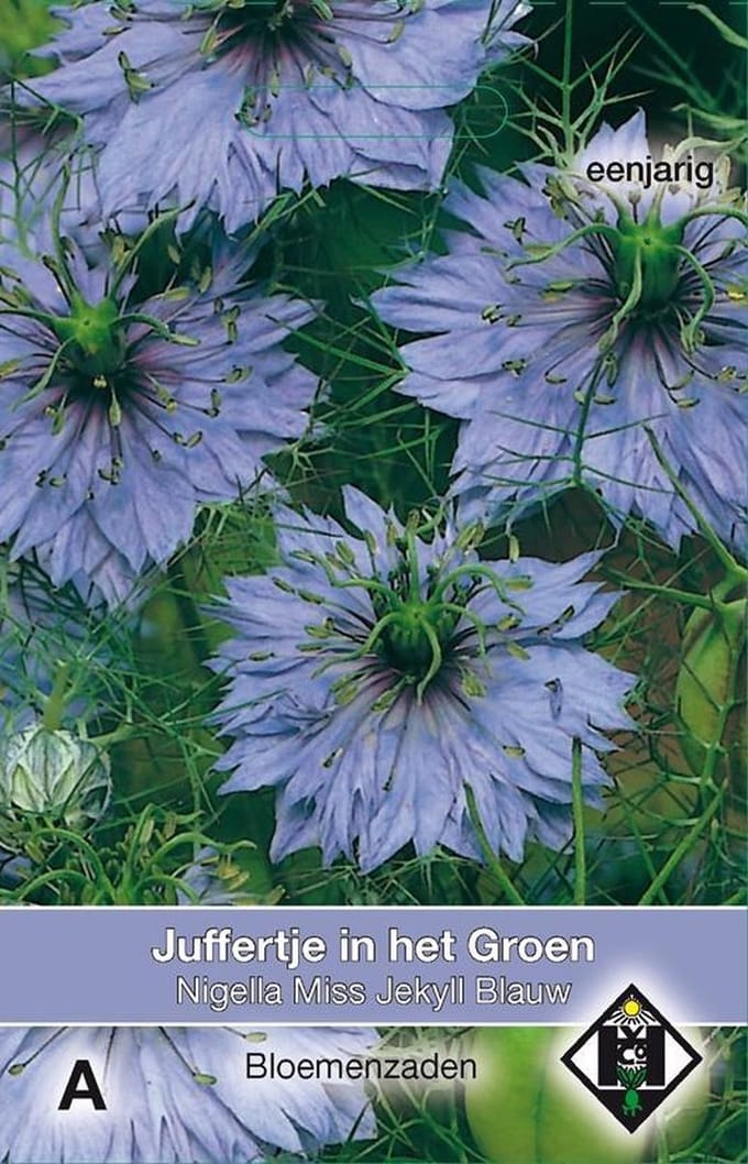 Van Hemert & Co - Juffertje In Het Groen Miss Jekyll Blauw (Nigella)