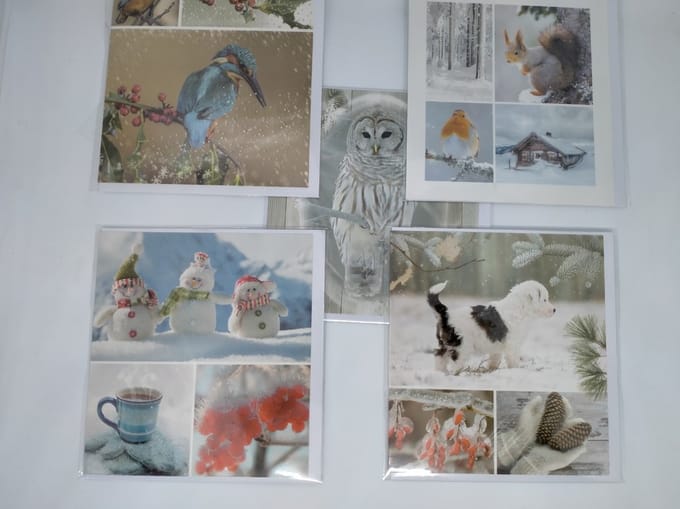 10 luxe wenskaarten Winter/kerst - Wenskaarten - Zonder tekst - 10 Stuks - 12 x 11 cm