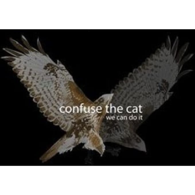 Confuse The Cat - We Can Do It (CD)