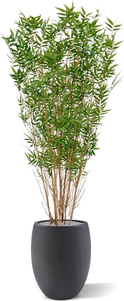 Oriental Bamboe kunstboom 160cm