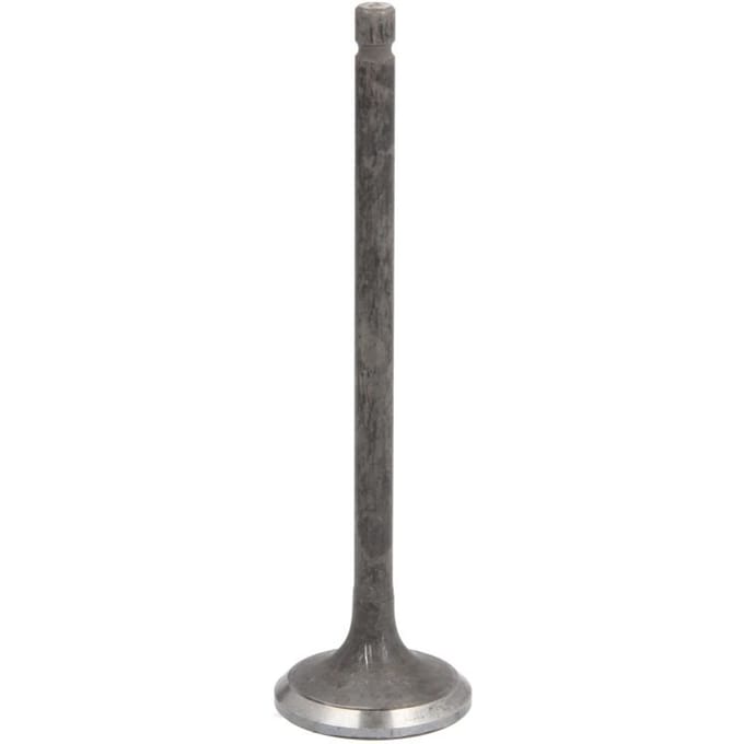 Uitlaatklep FRECCIA R7055/RARNT