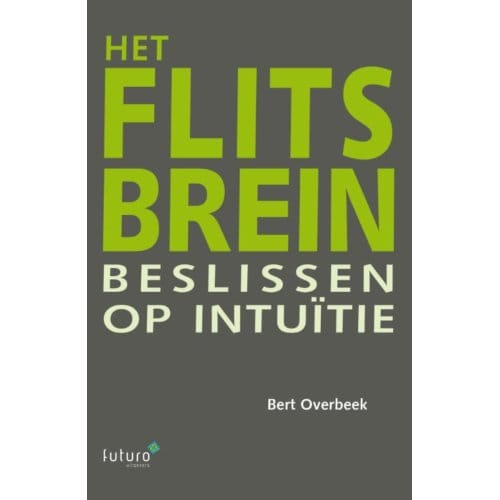 Het Flitsbrein - Bert Overbeek
