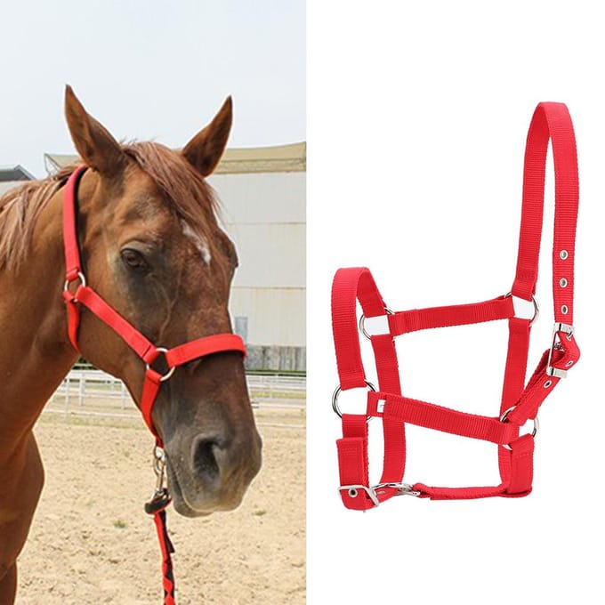 Hoge Dichtheid 6mm Verdikte Webbing Paardentuig Controle Halster Ruitersport Accessoires Rode Kleur red