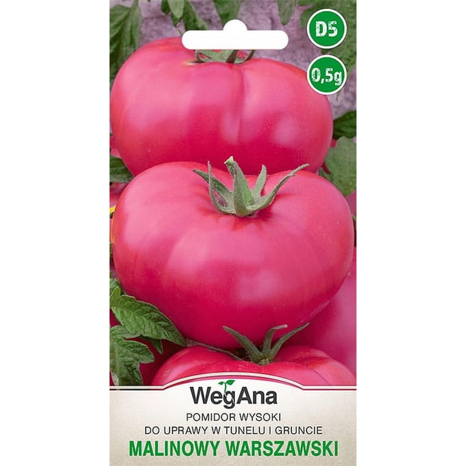 Frambozen Warschau Tomaat voor tunnel en gemalen 0,5 g tomatenzaden - WegAna