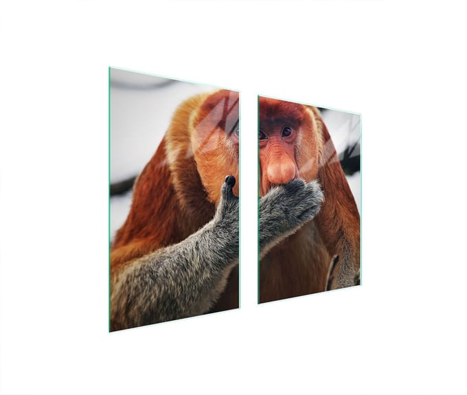 TMK ArtDeko - Beschermplaat Glas - 65x52 cm - Veelzijdig Gebruik