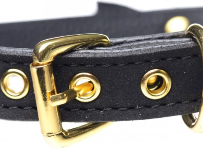 Master Series Golden Kitty Collar Met Kattenbelletje - Zwart/Goud