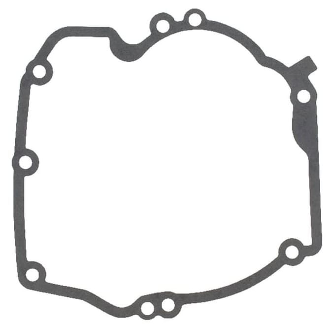 Briggs & stratton carterpakking