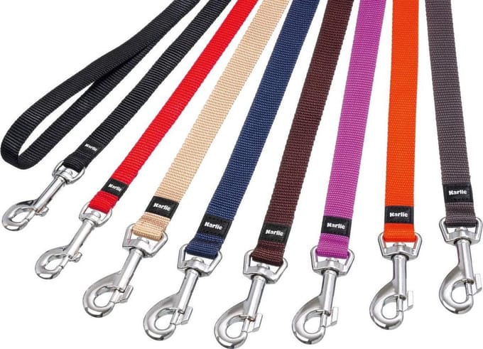 Art sportiv plus t.leash,10mm 200cm brown