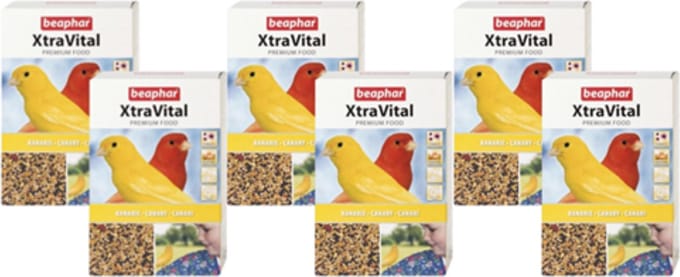 6x Beaphar XtraVital Kanarie - Vogelvoer - 500g