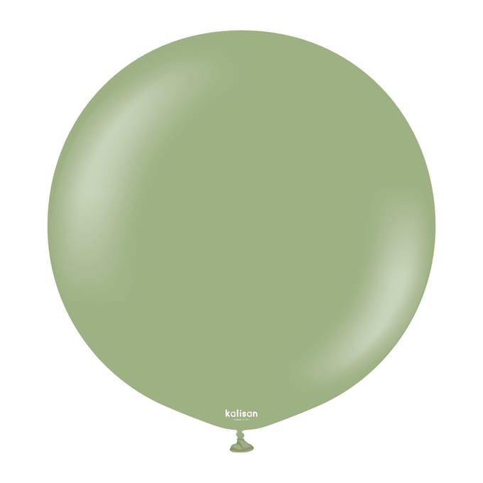 Ballons Latex Rétro Eucalyptus, Vert 45 Cm, 25 Pcs.