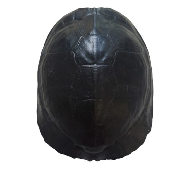 Furnilux - Katana small Zwart - Schildpad