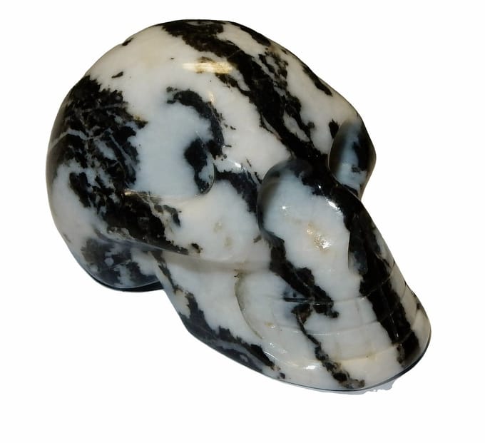 Schedel van Natuurlijke Jaspis Zebra