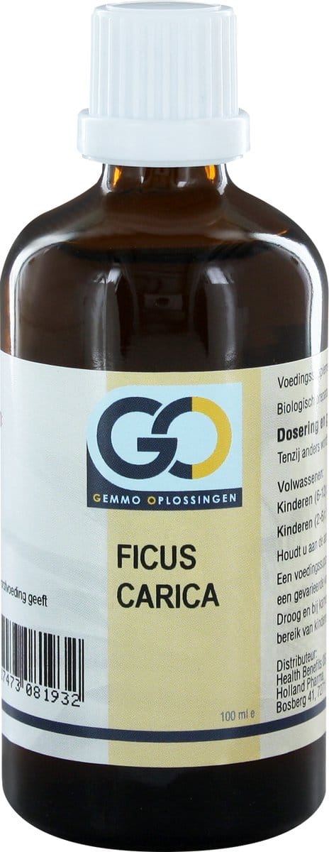 GO Ficus carica bio 100 Milliliter