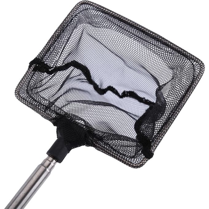Vissenkom Aquarium Accessoires Net Mini Verstelbaar Telescopisch Vissen Garnalen Schepnet Type 1 gray