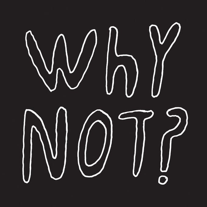 Half Japanese - Why Not? (LP)