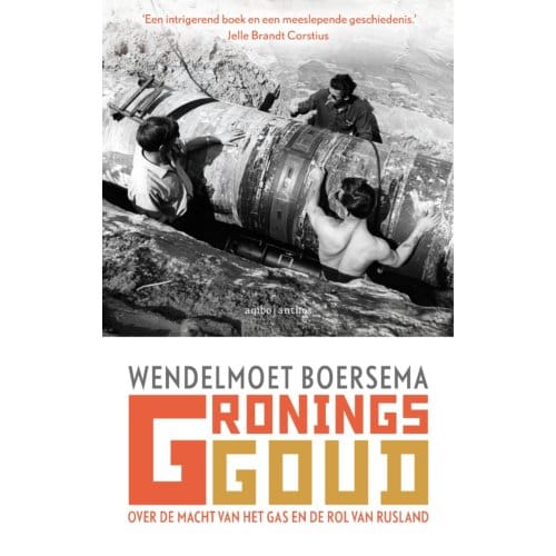 Gronings Goud - Wendelmoet Boersema