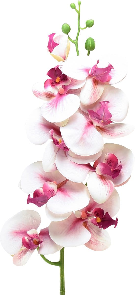 Orchidee Phalaenopsis kunst 9 bloemen wit fuchsia 96cm